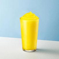 [엔제리너스] 엔제리너스 한라봉 스무디(R)