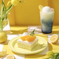 [파스쿠찌] 블루 레몬 그라니따+카사타 레오(조각)