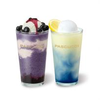 [파스쿠찌] 베리베리 요거트 그라니따+베리솜 요거트 그라니따+카사타 티라미수(조각)